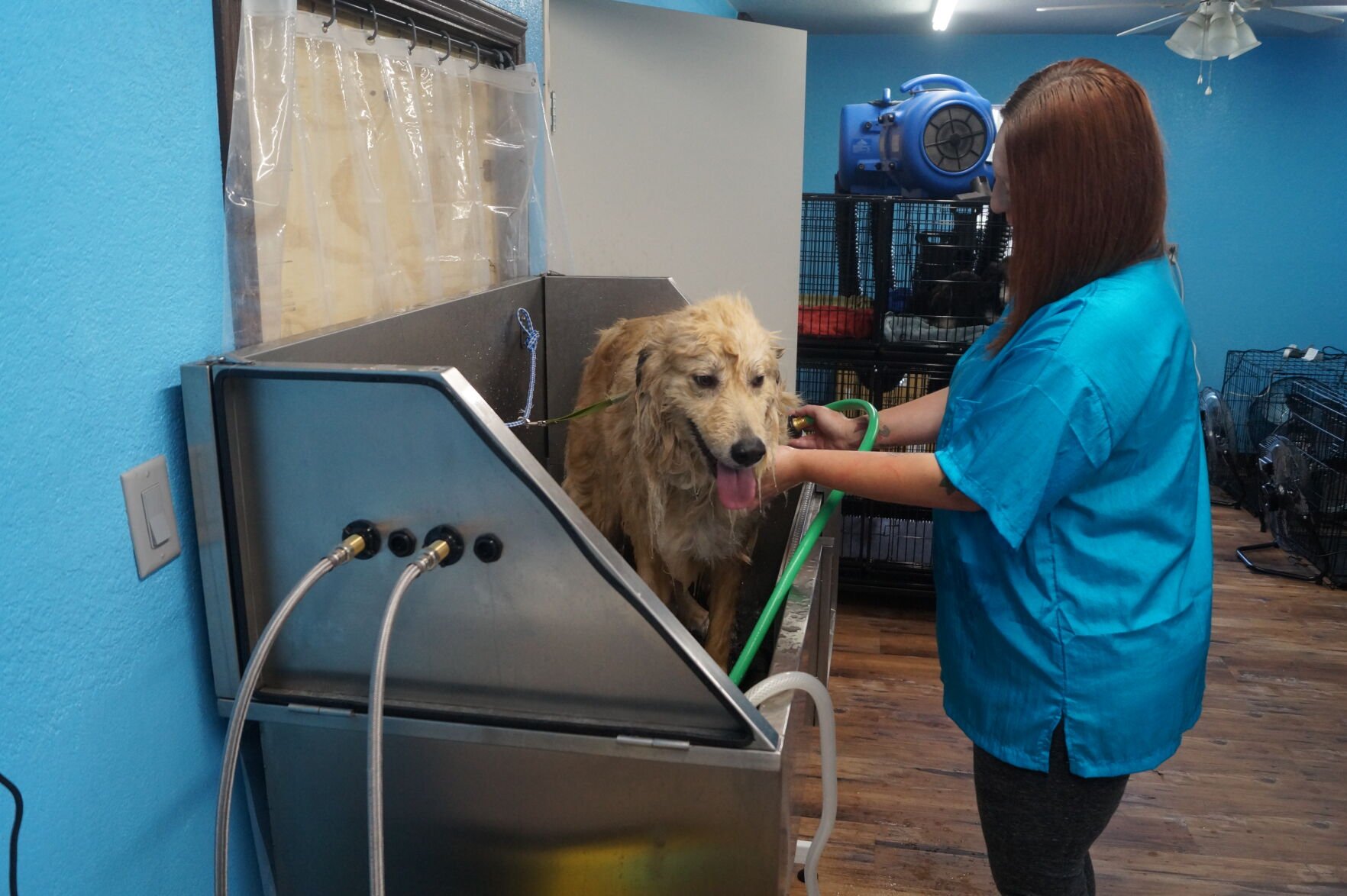 Muddy Paws Doggie Spa open for business Copperas Cove Herald