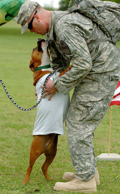 Fort Hood Herald 2010 in Review