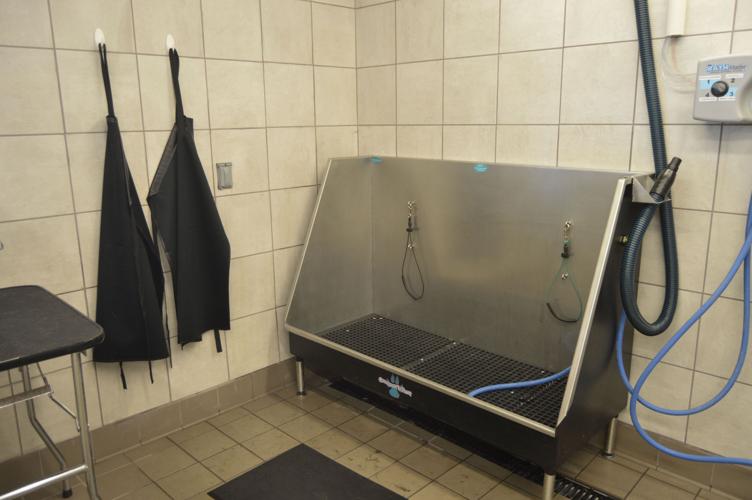 Pet Supplies Plus celebrates grand opening Business