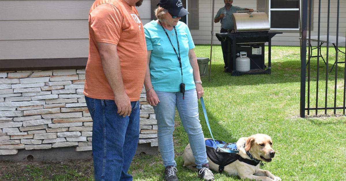 Dogs Help Humans What Are Ways Dogs Help Humans