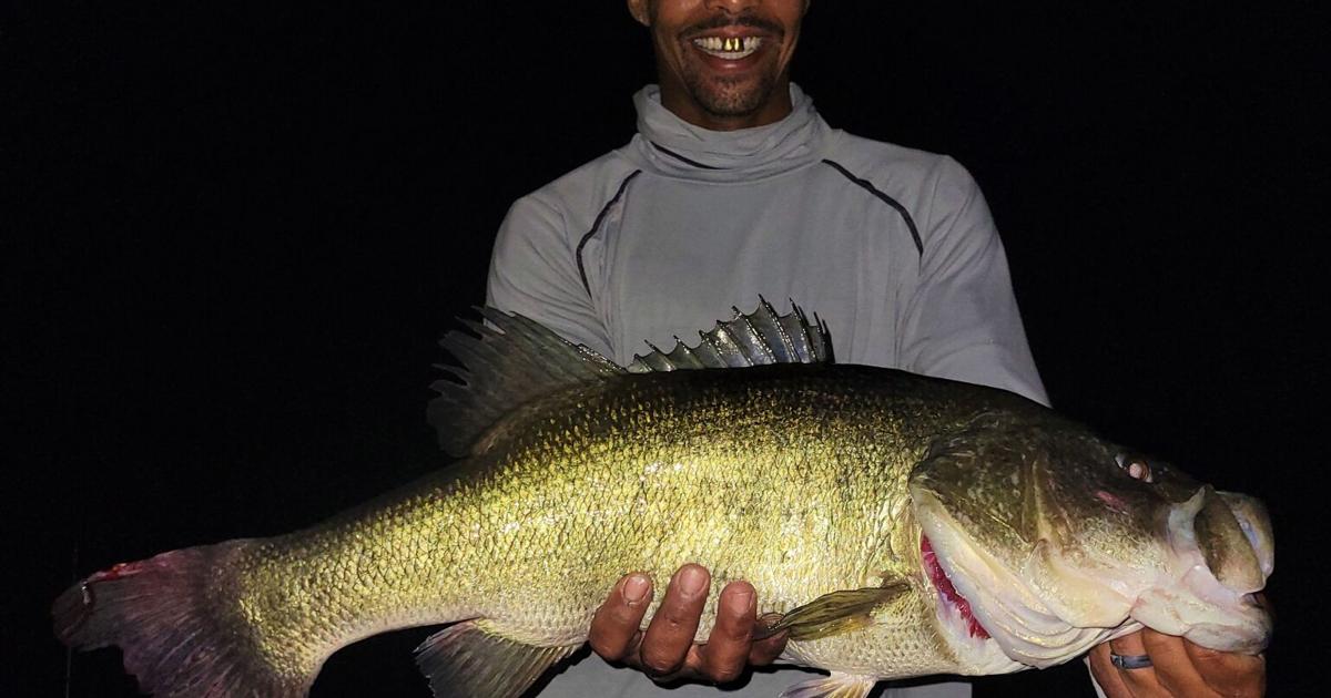 BOB MAINDELLE: Positive news for Belton and Stillhouse Hollow lakes | Outdoor Sports