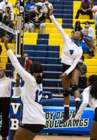 Lady Dawgs volleyball team eyes 16th consecutive playoff appearance