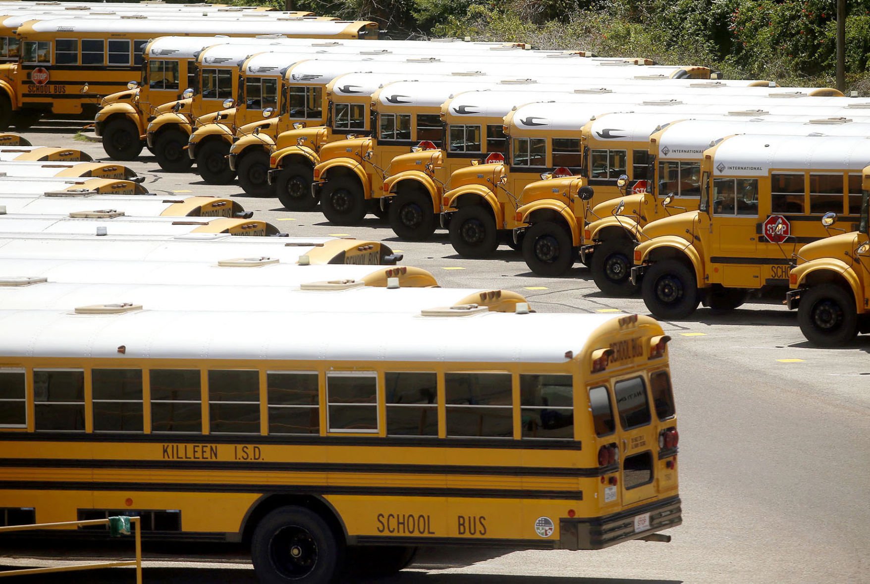 Unrestrained: Most Standard School Buses In Texas Don’t Have Seat Belts ...