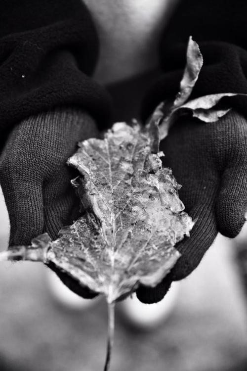 Winter is coming