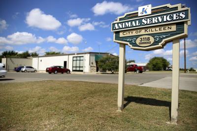 Killeen animal shelter