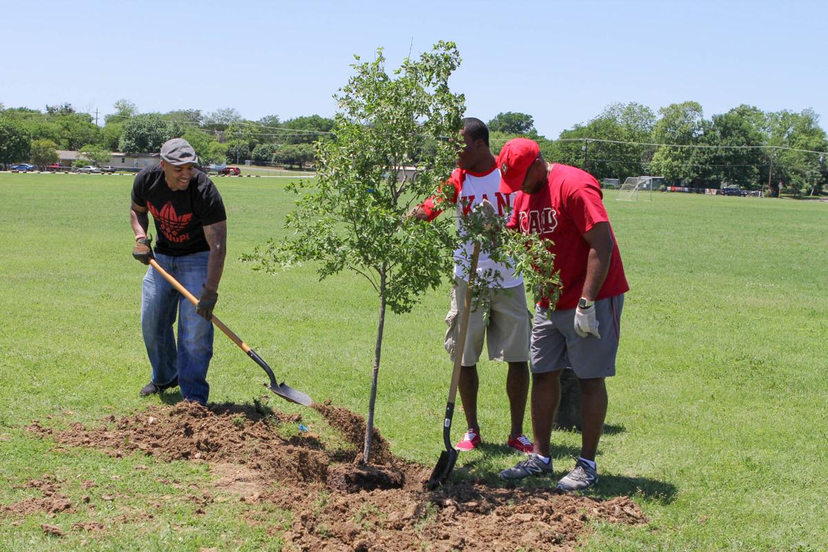 New trees take root during Heights Arbor Day celebration  Community