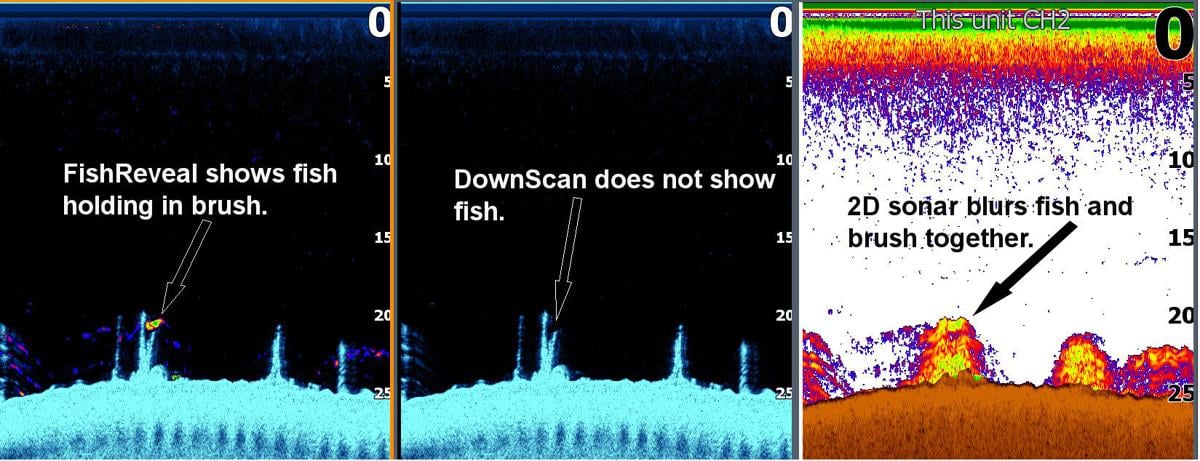 COLUMN: Finally, my perspective on forward-facing sonar