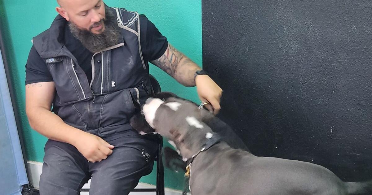 : ‘Eager to learn’: Army Veteran turns passion for dog training into career | Local News : ‘Eager to learn’: Army Veteran turns passion for dog training into career | Local News