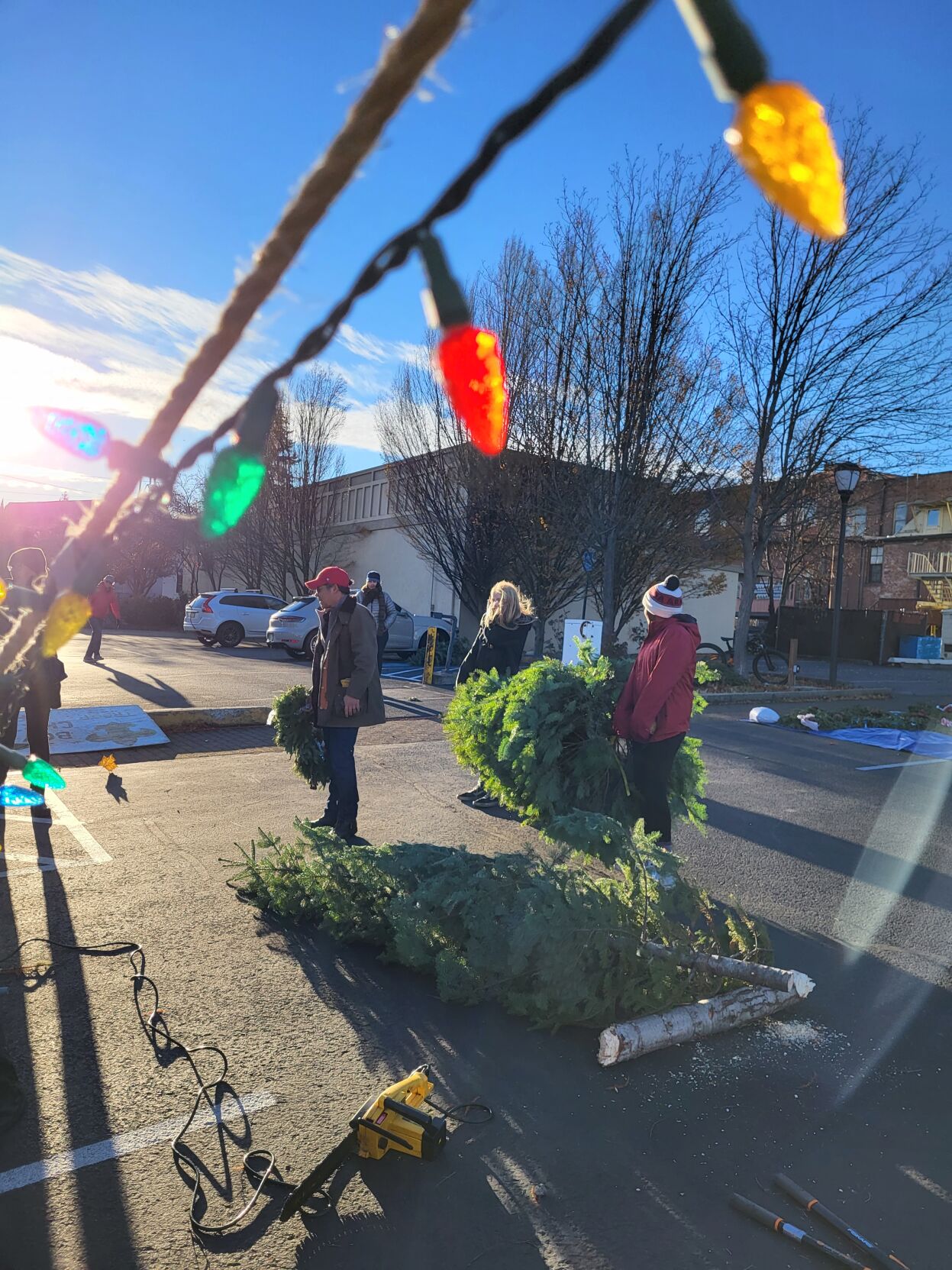 Ashland scouts prepare for annual Christmas trees sale and recycling