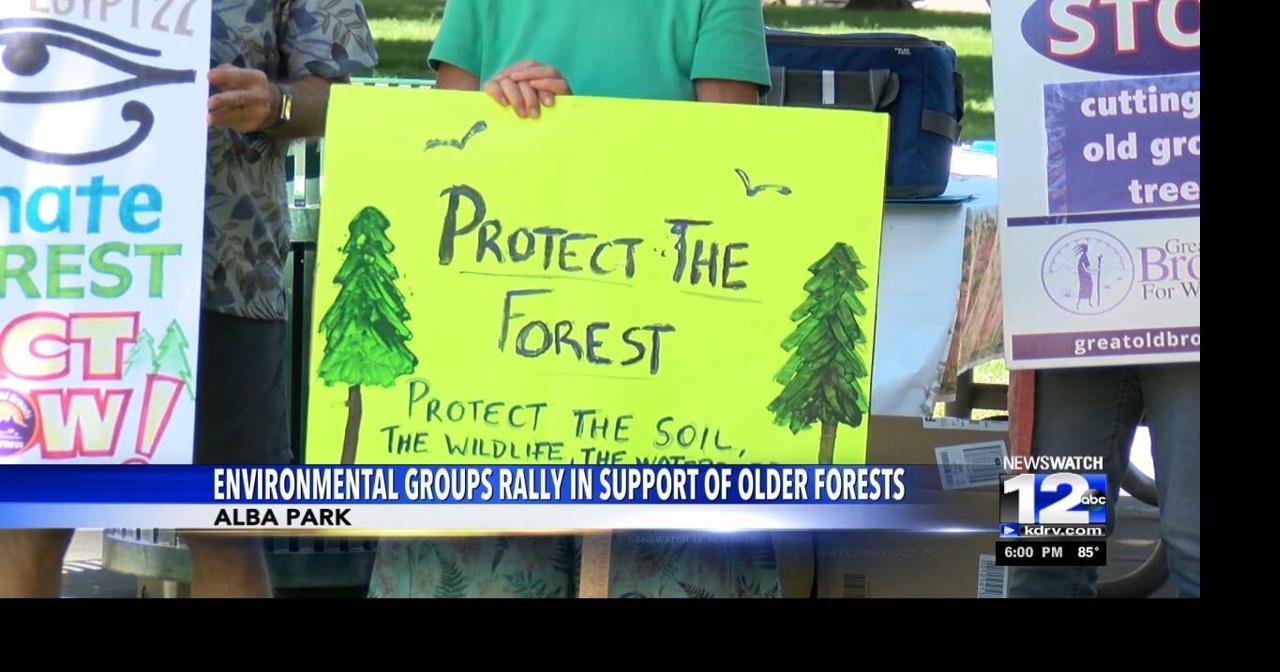 Groups rally at Alba Park for protection of older forests | Top Stories ...