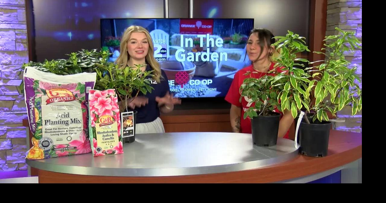 In the Garden: Spring bloomers | Features | kdrv.com