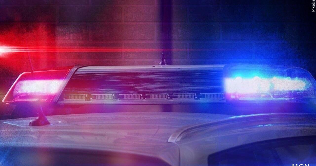Police seize more than 11,000 marijuana plants in a month | Local - Vimarsana News