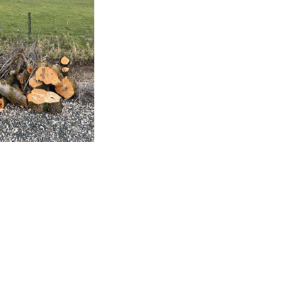 Lake County deputies seek tips on yard debris dumped along New Idaho Road