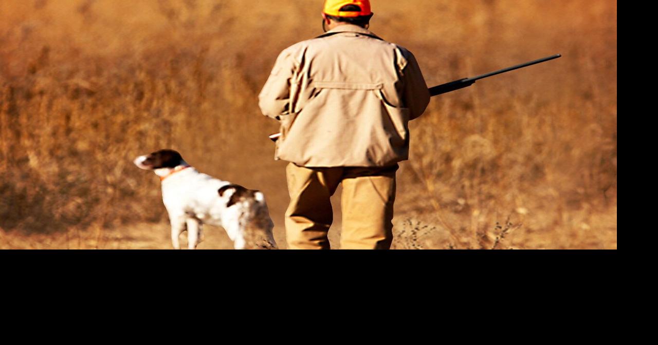 69fe333e561d0.image.jpg?crop=1280,672,0,