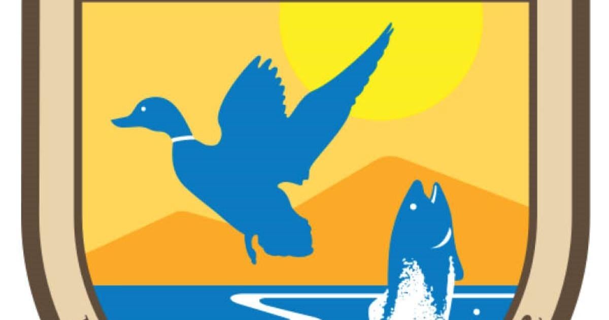 69f8e33f1bbf2.image.jpg?crop=1200,630,0,