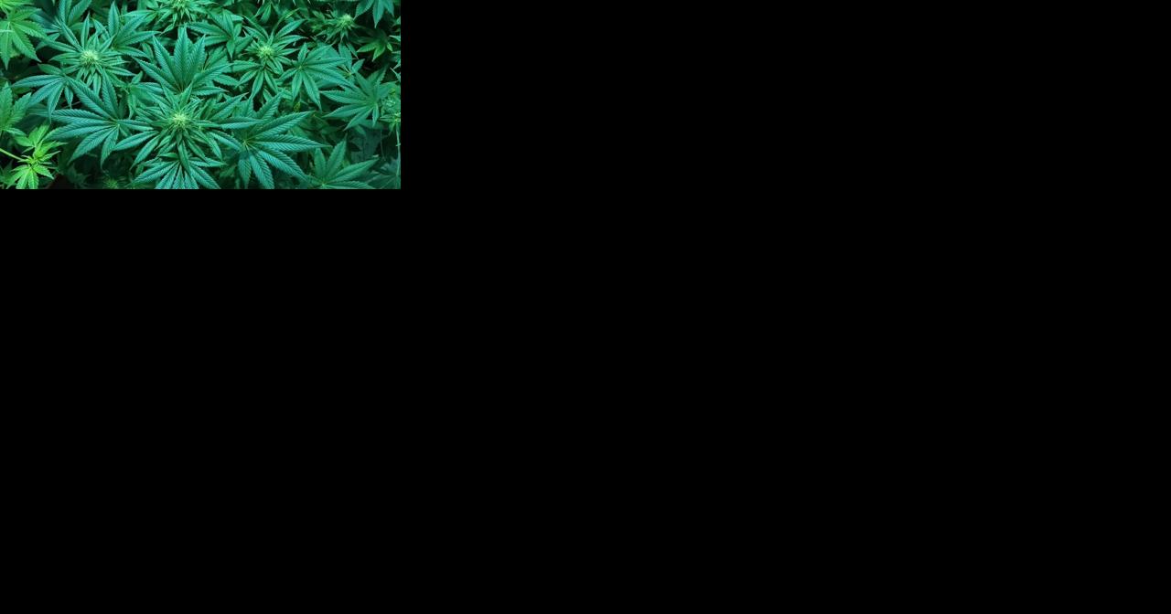 Oregon cannabis task force holds first meeting - Vimarsana News