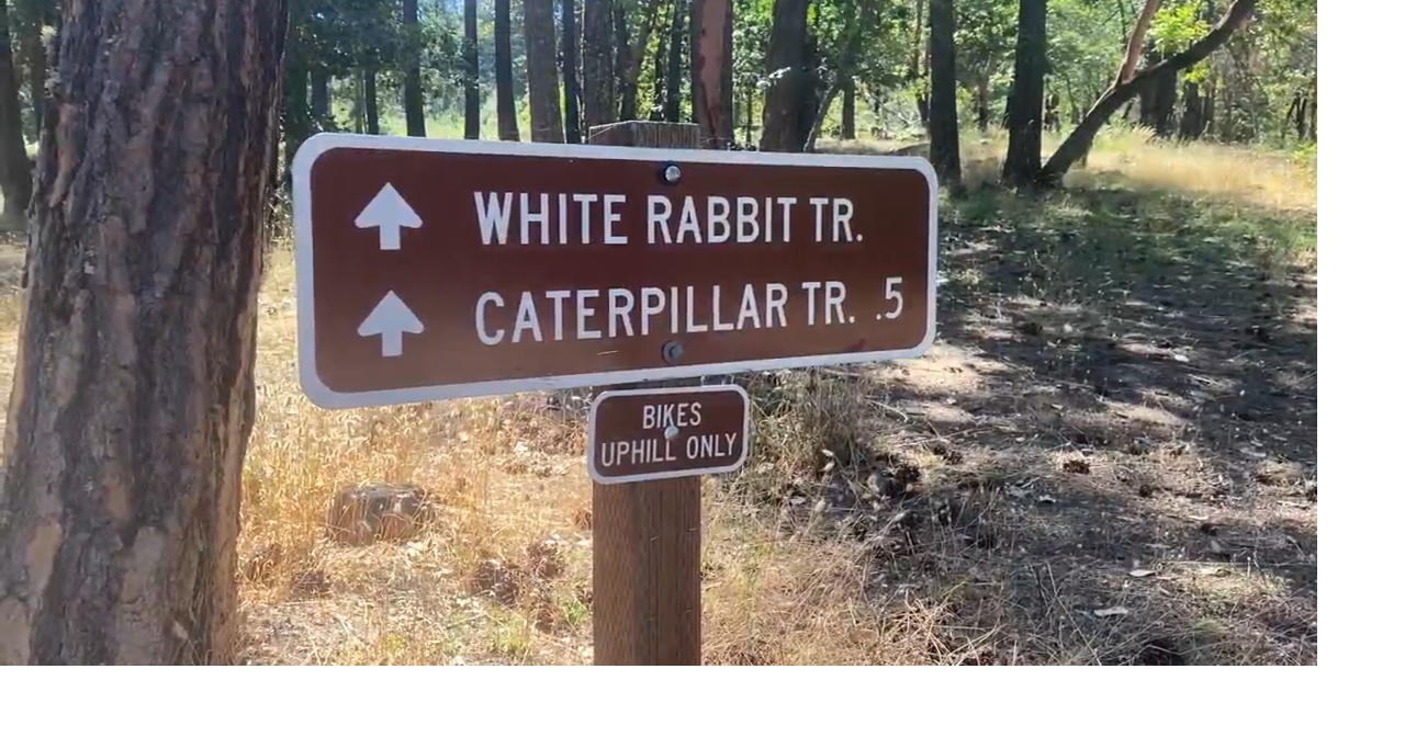 Take a Hike: White Rabbit Trail | Sports | kdrv.com