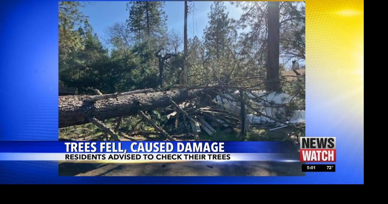 Trees fall, cause damage | Video | kdrv.com