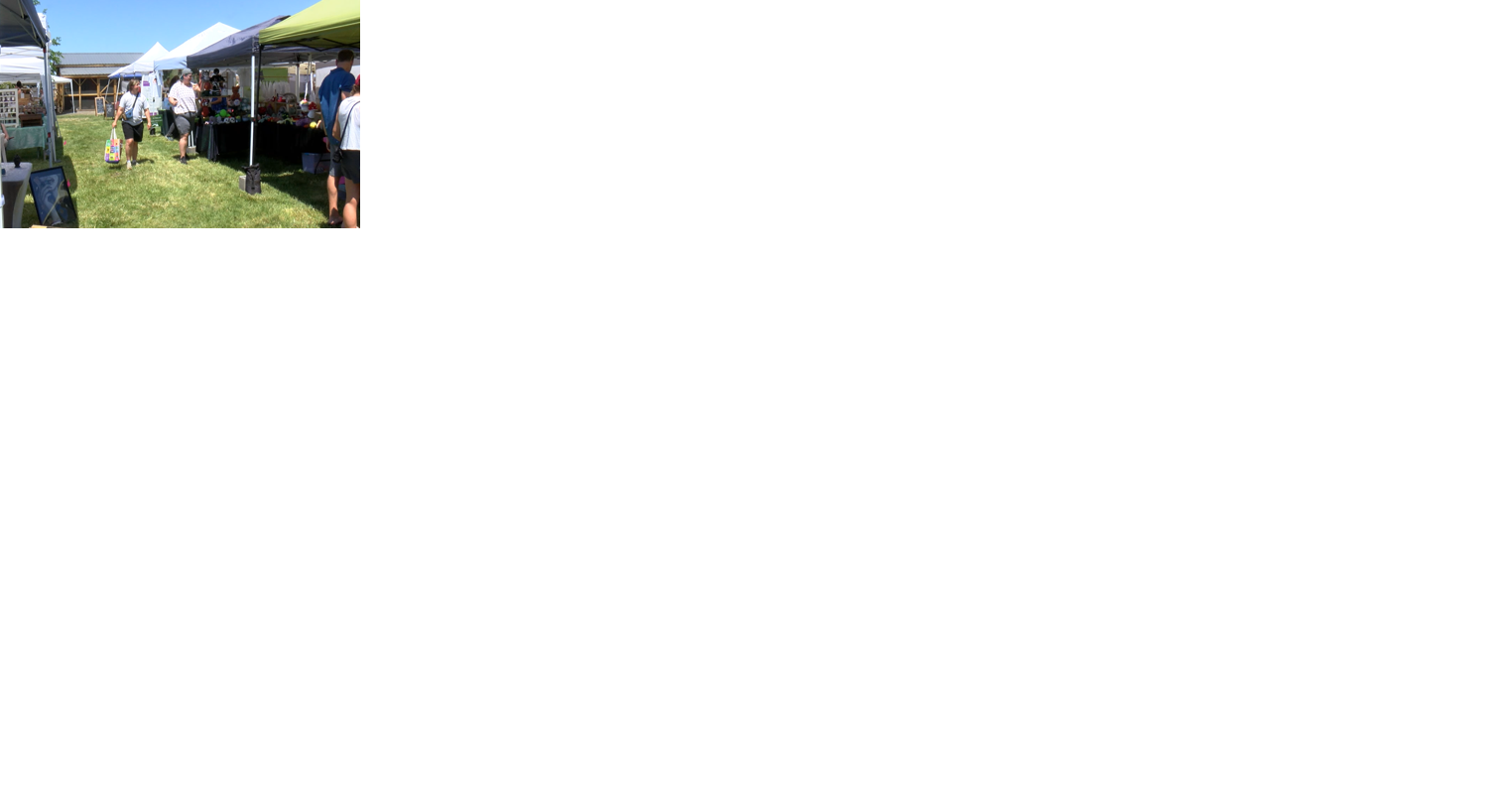 684649f515f4e.image.png?crop=1524,800,75