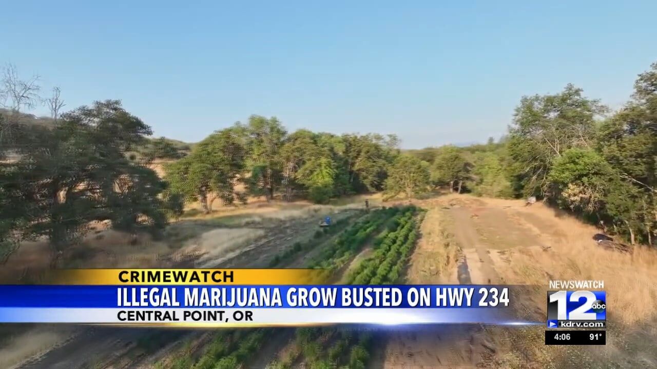 Police seize about 39,000 plants after raiding grow site in