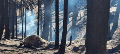 Fire in Sequoia and Kings Canyon national parks contained