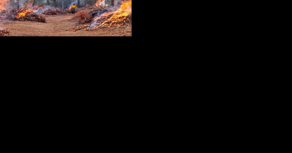 Jacksonville an example of State Fire Marshal "triumphs" for wildfire resiliency - Vimarsana News