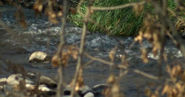 High bacteria levels found in Bear Creek watershed - Vimarsana News