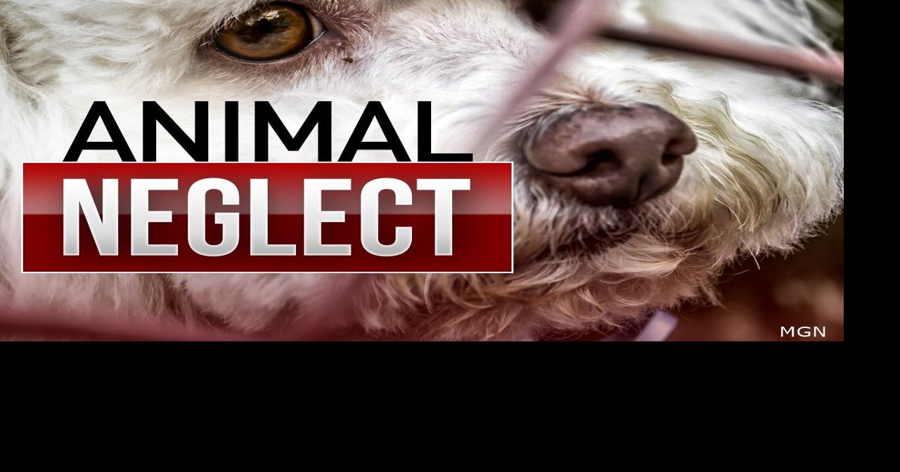 Grants Pass animal neglect suspect attends a pre-trial hearing | News ...