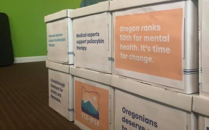Psilocybin 'shows promise' as mental health therapy, Oregon board concludes - HealthWatch - kdrv.com