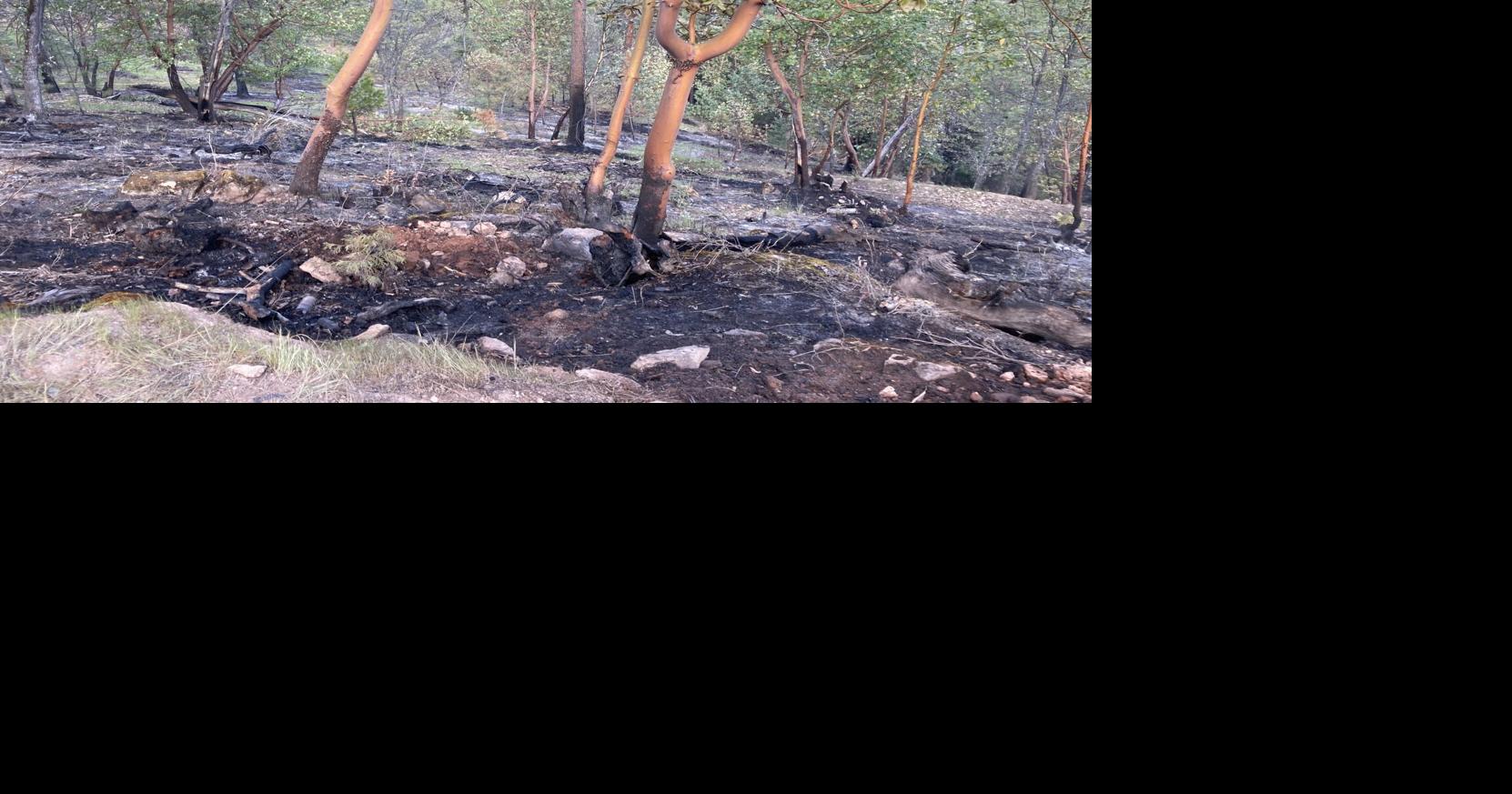 Almost two acre fire in Central Point contained thanks to quick ...