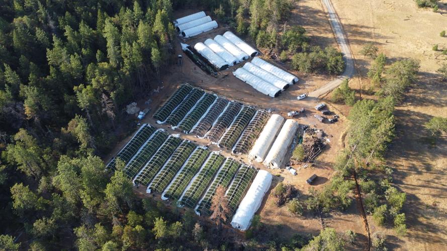 Weed, water and warrants in Josephine County law enforcement efforts