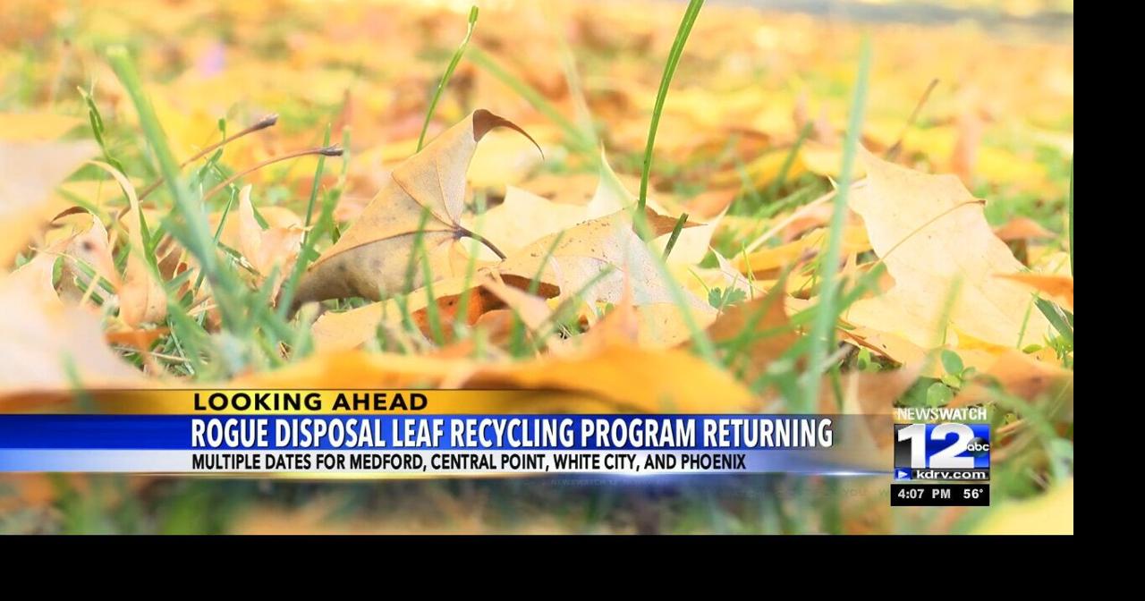 rogue-disposal-s-leaf-recycling-program-returning-for-november