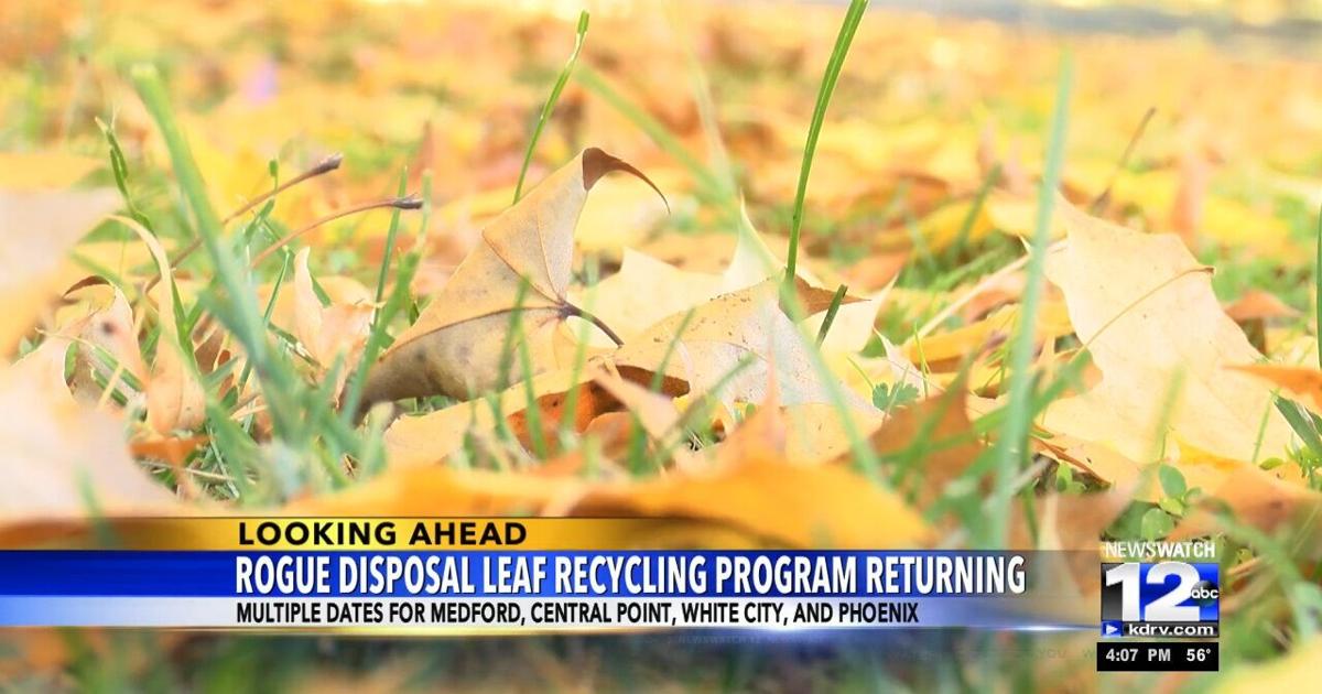 Rogue Disposal s Leaf Recycling Program Returning For November rogue-disposal-s-leaf-recycling-program-returning-for-november