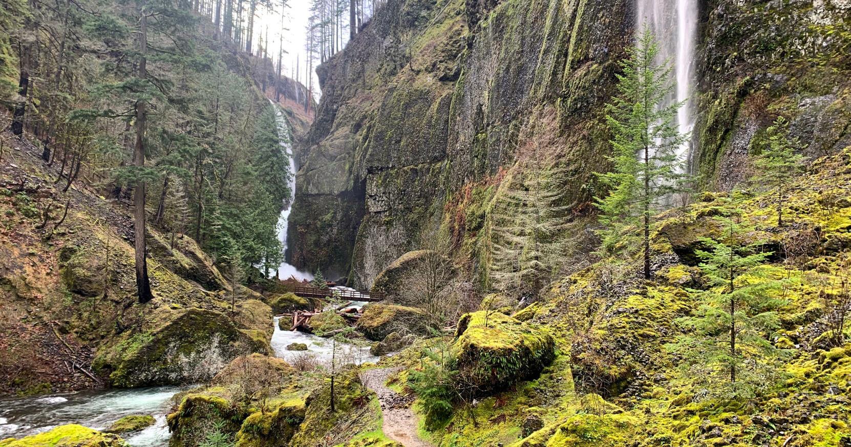 Hiker dies after 100-foot fall in Oregon's Columbia River Gorge - Vimarsana News