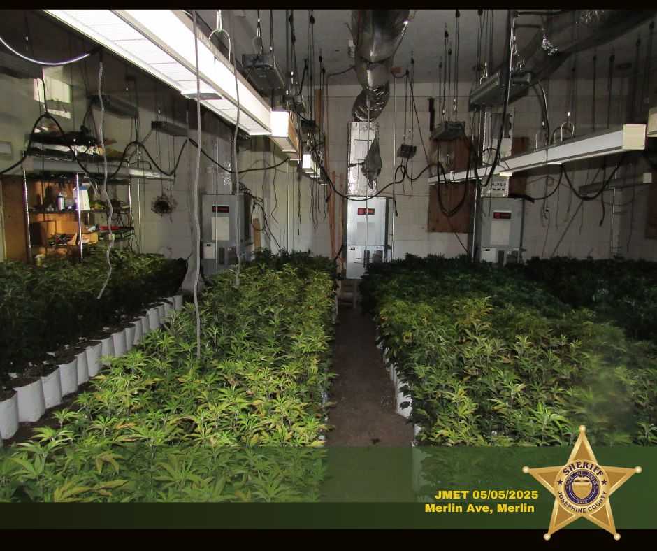 kdrv.com - Firefighters find illegal marijuana grow during Josephine County fire response