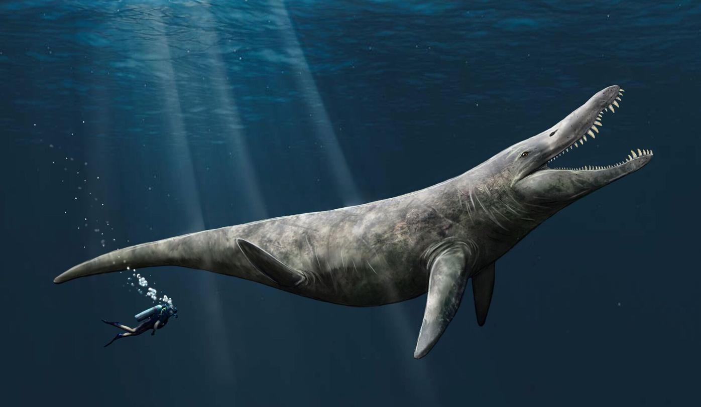 Size of a Jurassic sea giant found due to fossil discovery, study says |  National | kdrv.com
