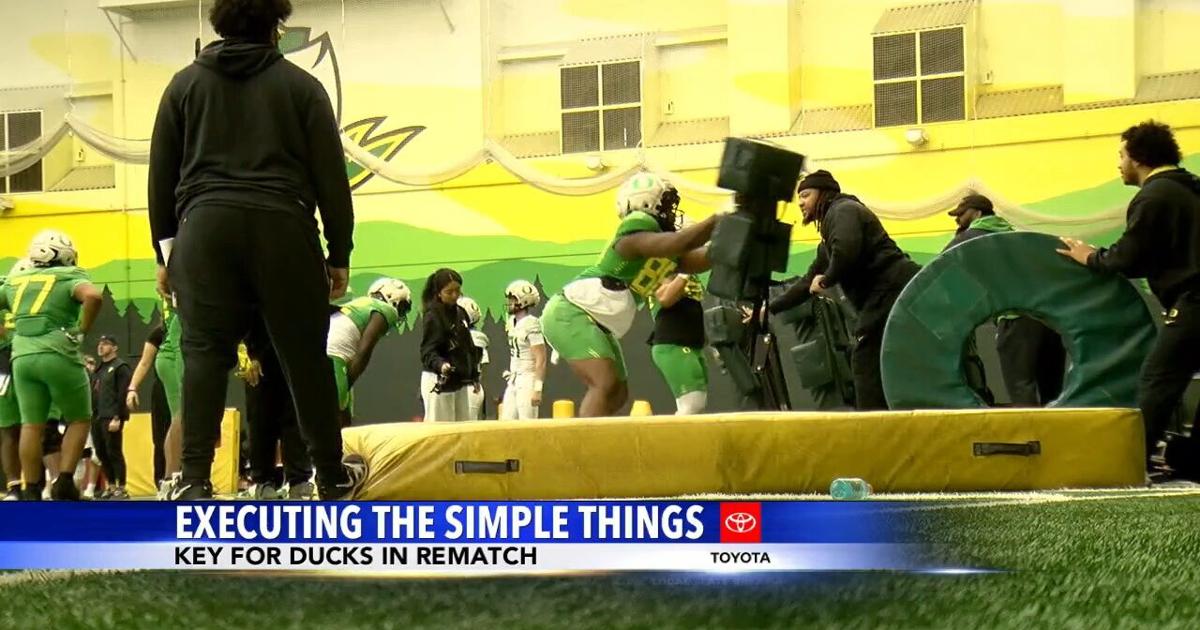 Executing Things Ducks ready to execute the simple things | Video | kdrv.com