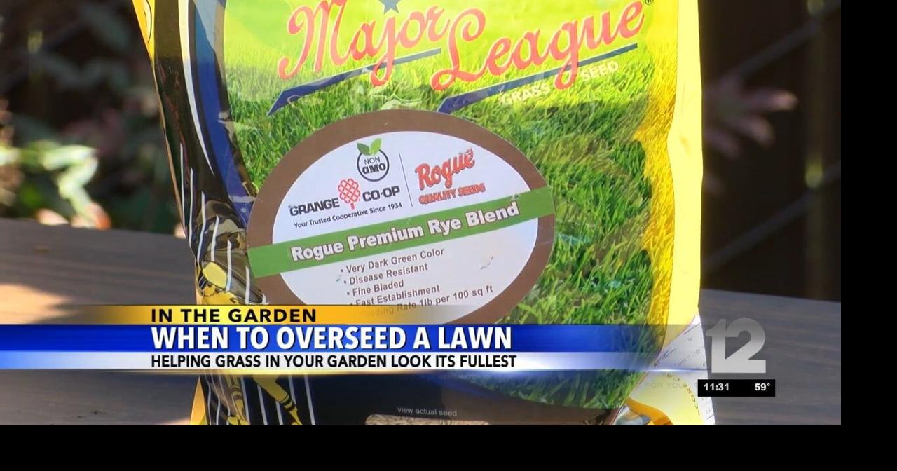 In The Garden: When to overseed your lawn | In The Garden | kdrv.com