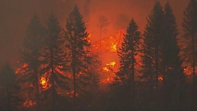 wildfire.jpg