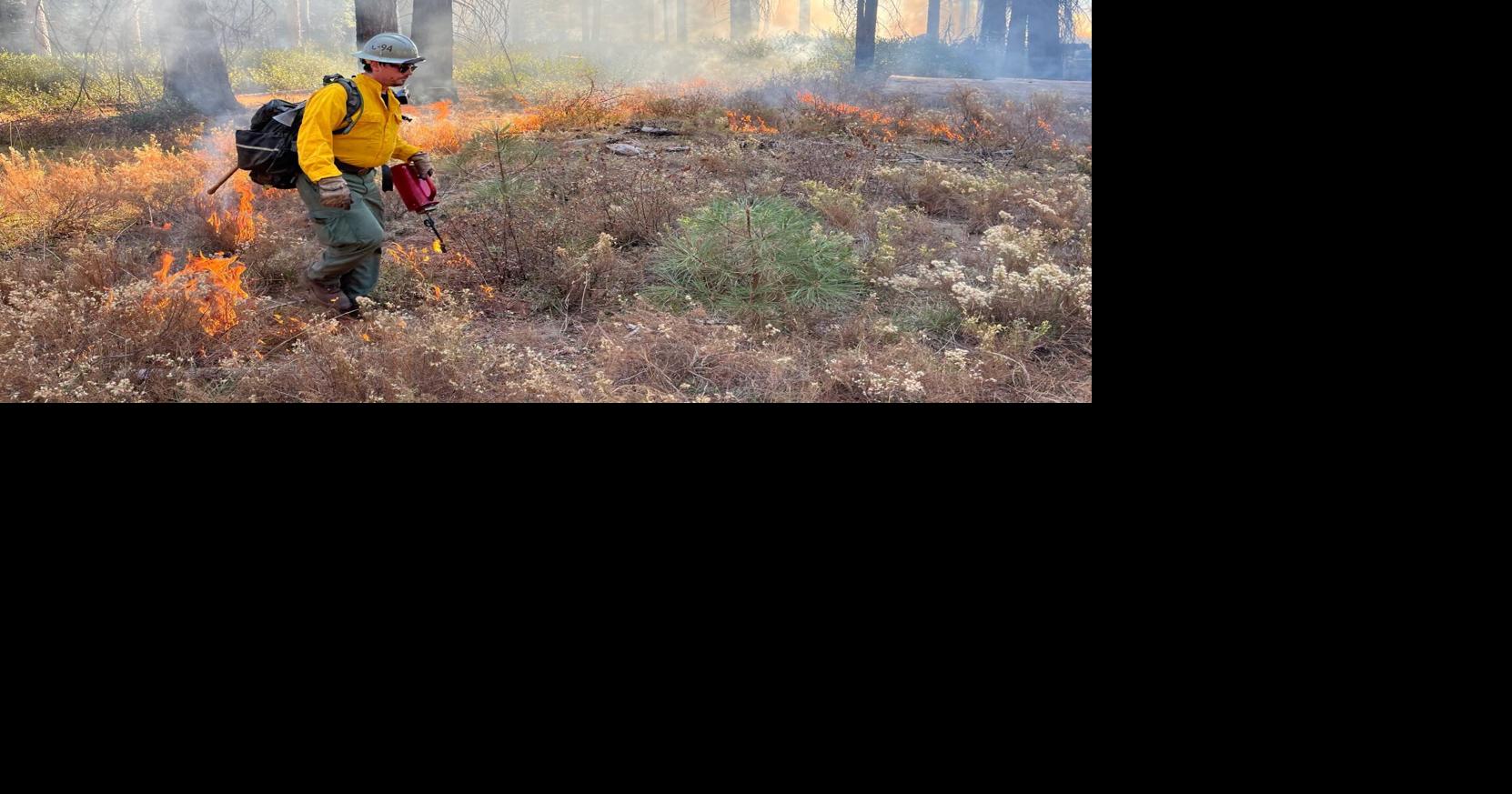 Prescribed burn near McCloud targets 579 acres of forest | Local | kdrv.com