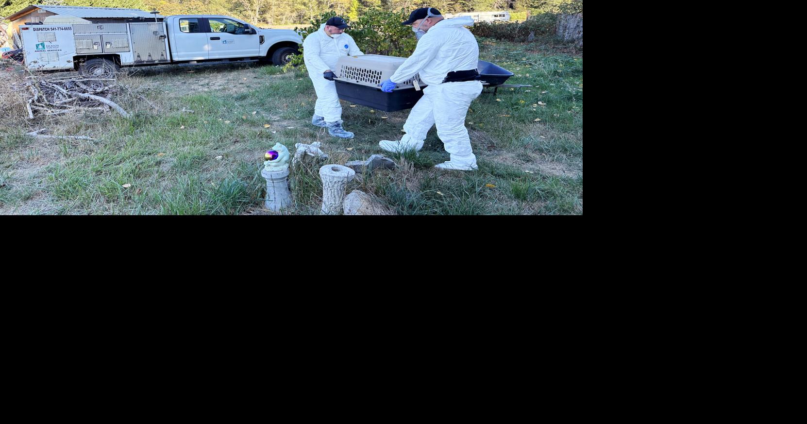 Deadly animal neglect case gets 