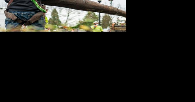 Oregon approved power utilities' wildfire mitigation plans - Vimarsana News