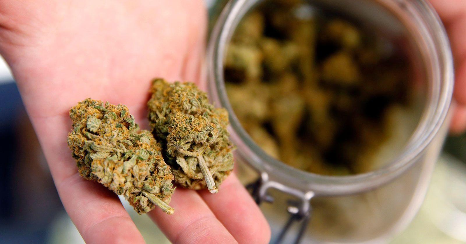 Using marijuana during pregnancy may heighten risk for baby - Vimarsana News