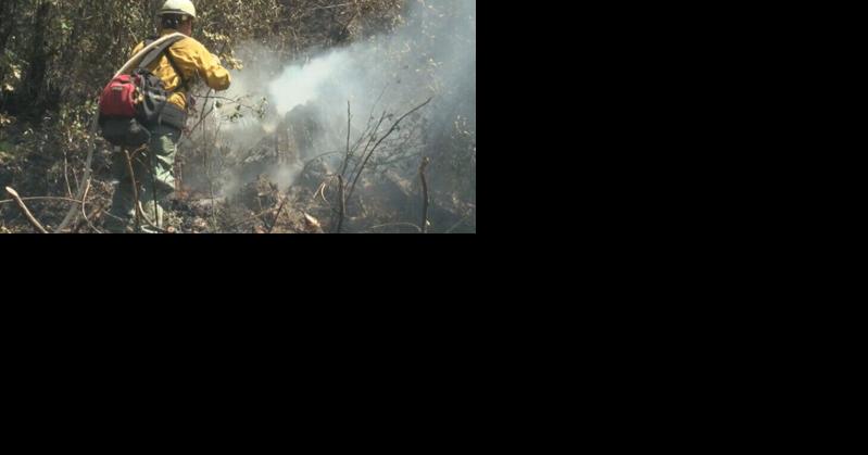 ODF Southwest District is hiring now for wildfire season ahead - Vimarsana News