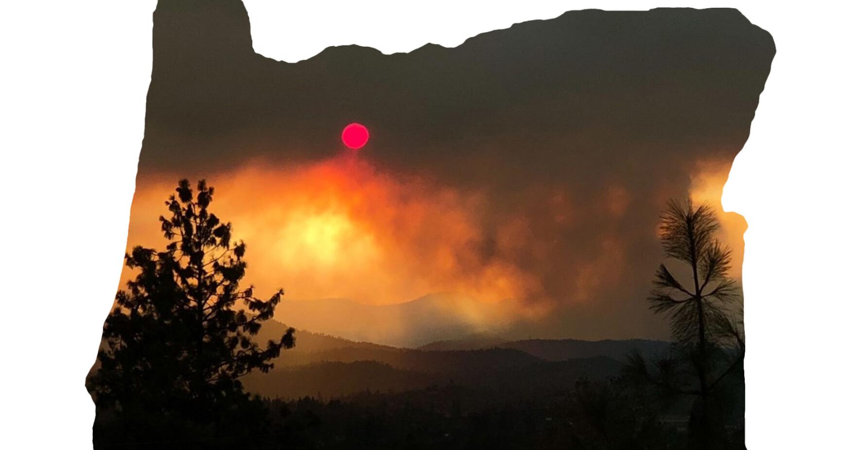 ODF cancels Wildfire Risk meeting in Grants Pass after receiving threat - Vimarsana News