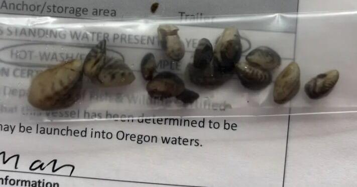 69c18f72dd2c6.image.jpg?crop=711,373,0,1