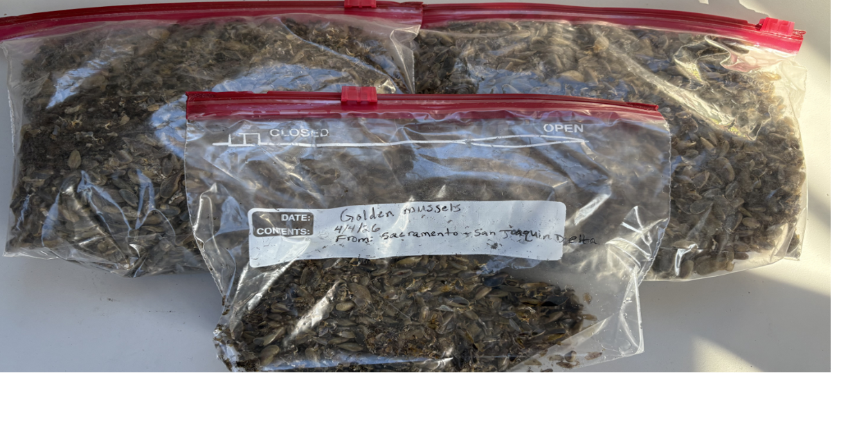 69d6e74692c8d.image.png?crop=1225,643,0,