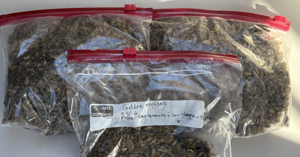 69d6e74692c8d.image.png?crop=1225,643,0,