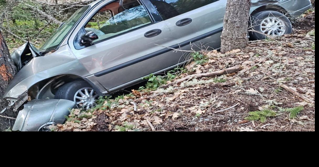 Two people taken to the hospital after vehicle crashed into tree | News ...