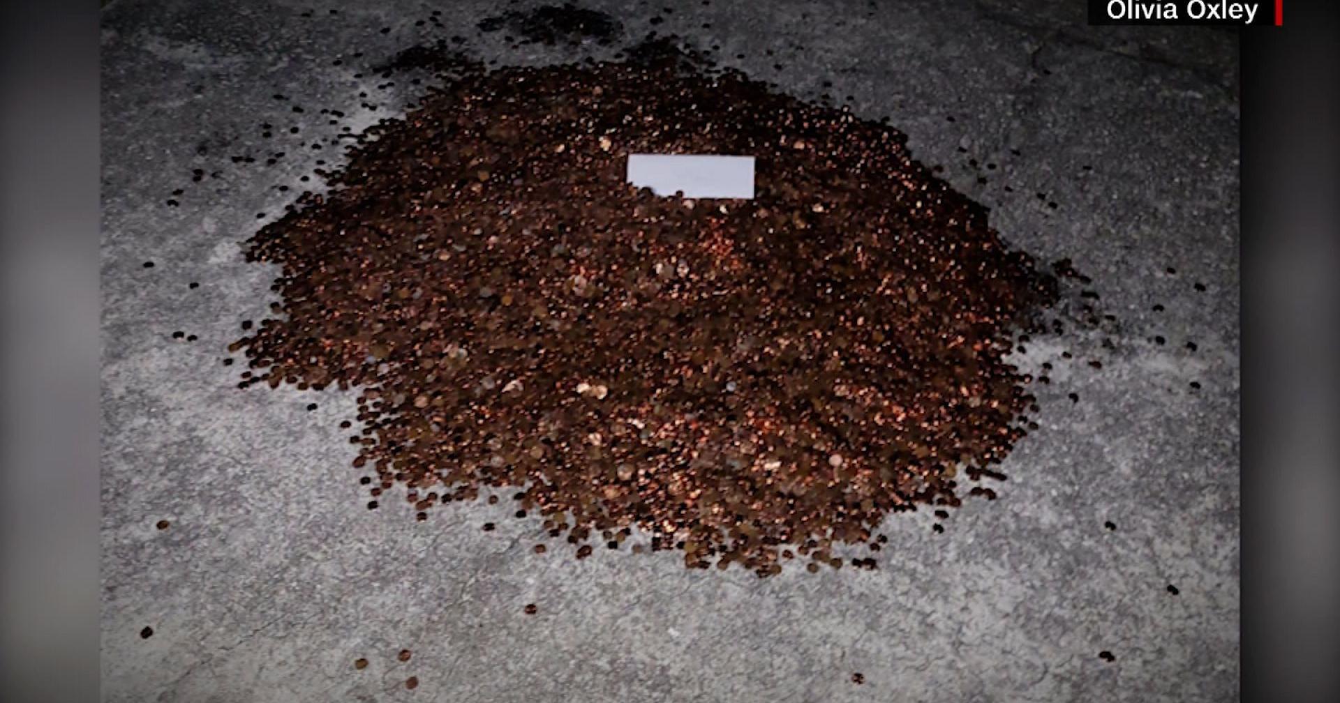Autoshop owner who dumped 500 pounds of oily pennies on ex-employee's driveway is ordered to pay additional back wages | National - Vimarsana News
